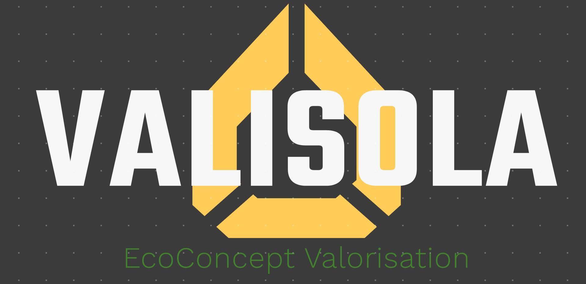 logo entreprise valisola